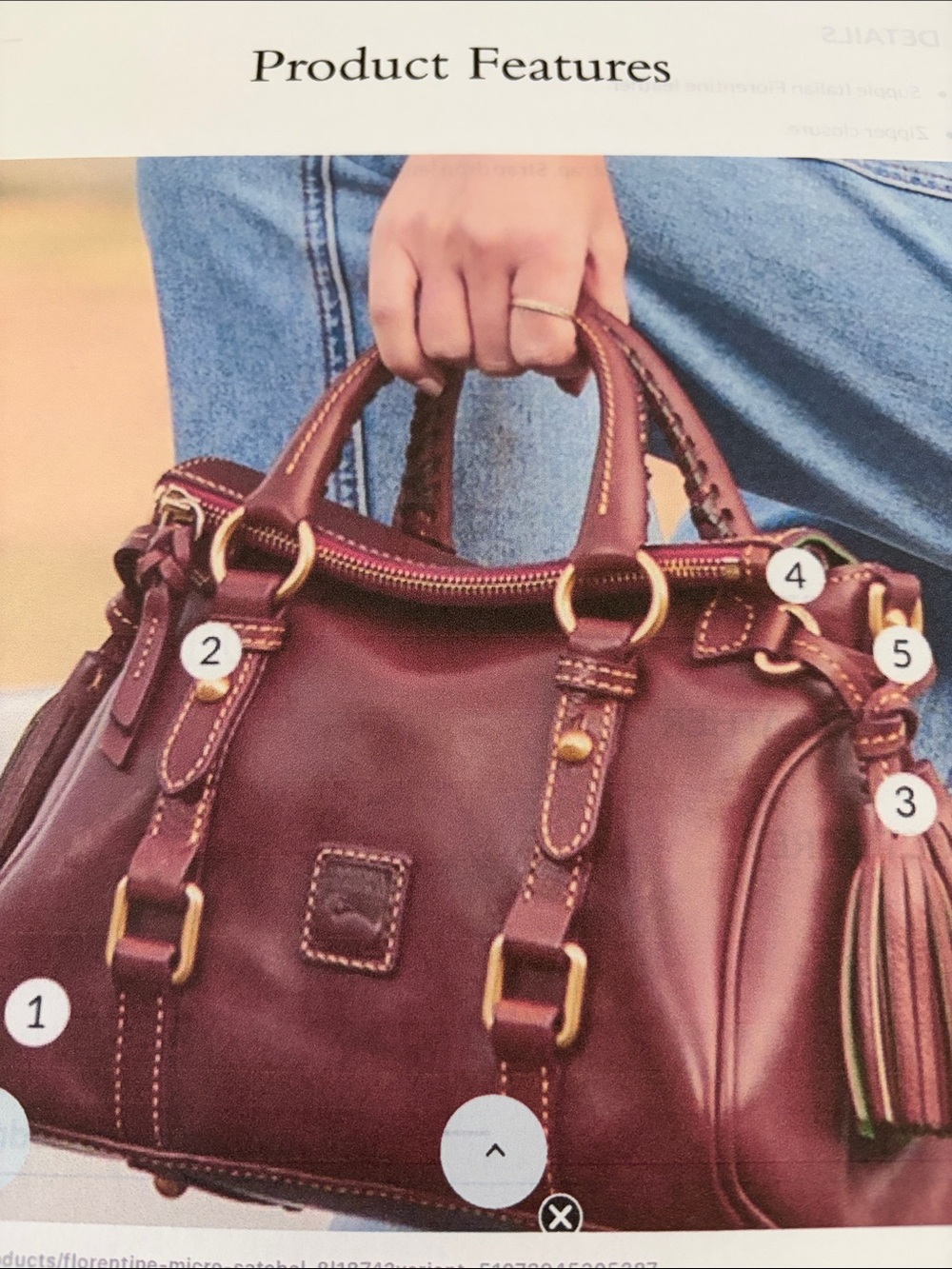 Dooney & Bourke Italian Vacchetta Leather Satchel Bag with Tassel NWT